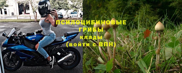 ПСИЛОЦИБИНОВЫЕ ГРИБЫ Баксан