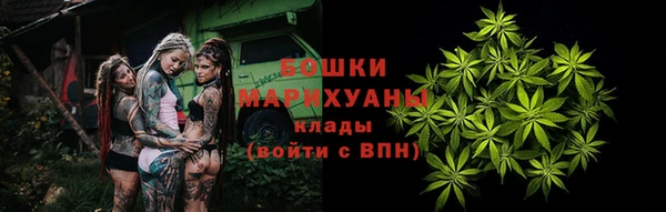 ПСИЛОЦИБИНОВЫЕ ГРИБЫ Баксан