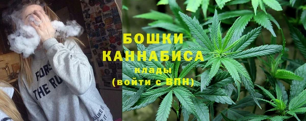 ПСИЛОЦИБИНОВЫЕ ГРИБЫ Баксан