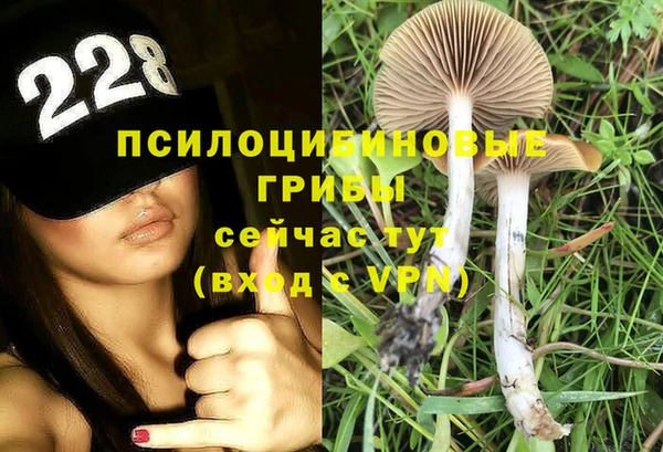 apvp Балабаново